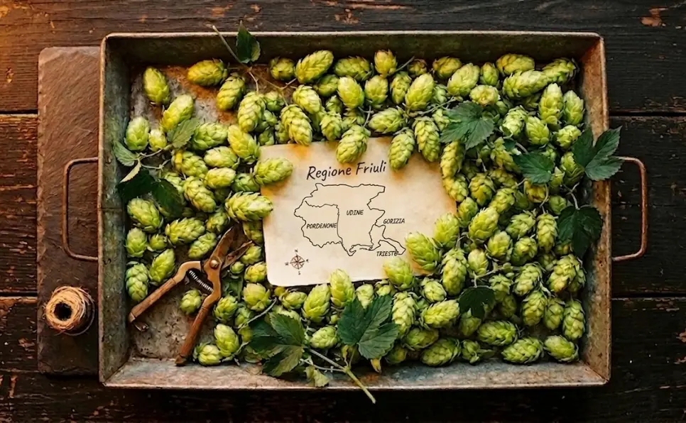 friuli map designed in a sheet of paper with hops around